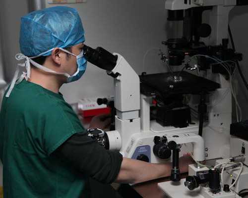 解析石家庄试管助孕:费用、流程及成功受孕关键