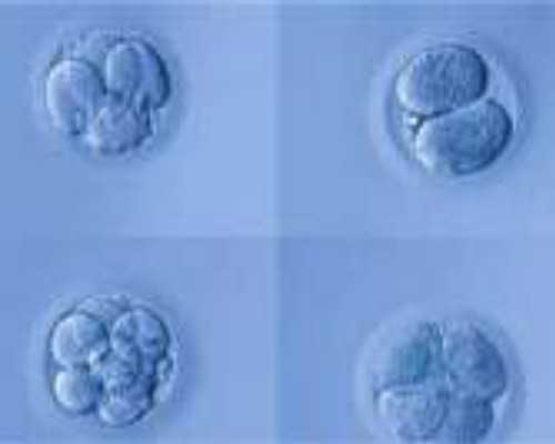 贵州试管代怀生子医院排名揭晓，探寻靠谱代怀价格与三代试管费用