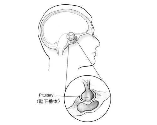 代怀生子费用揭秘:2026年广西供卵代怀价格明细与助孕考量