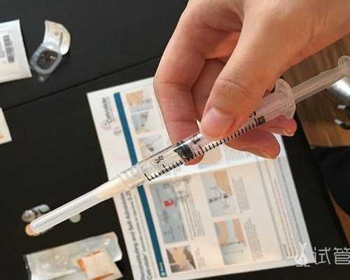 揭秘囊胚移植：提升试管婴儿成功率的关键