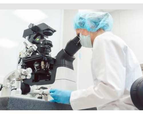 石家庄助孕机构解析：试管婴儿成功率与费用指南