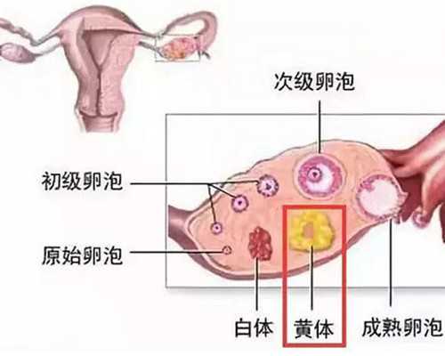 浙江省妇幼保健院试管婴儿专家推荐及生殖中心详解