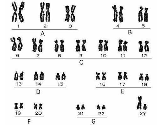 试管婴儿移植后多久可以出院坐车回家？乙肝小三阳能否试管助孕？多囊卵巢综合征患者试管婴儿成功经验分享