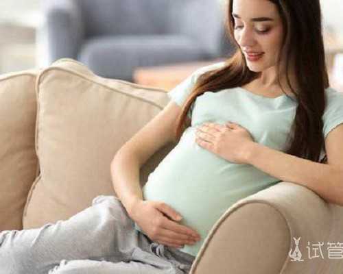 试管助孕概览：揭秘代怀生子费用与成功率