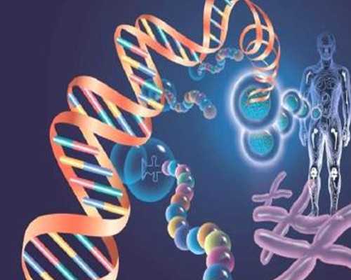 探秘辅助生殖：助您好孕之路