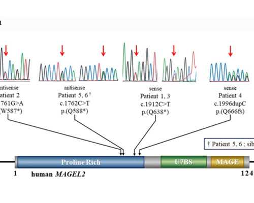 精明备孕：试管婴儿的周全准备与呵护指南