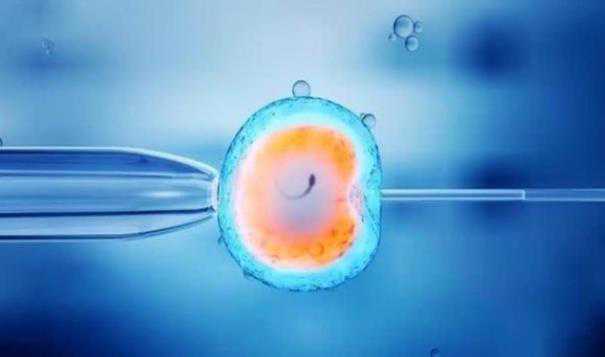 专业代怀费用_口碑最好代怀哪家_两步移植法移植两个胚胎成双胞胎的多吗？