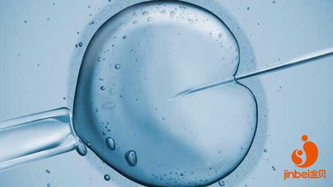 石家庄第三代试管选性别会浪费胚胎吗_试管婴儿可以筛选基因吗_三代试管婴儿